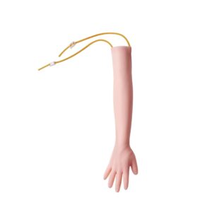 Krahë trajnues për venipunkturë dhe marrje gjaku – Model trajnimi mjekësor - Figura 2