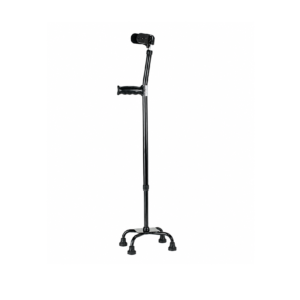 Paterice me krah dhe 4 kembe - Figura 1
